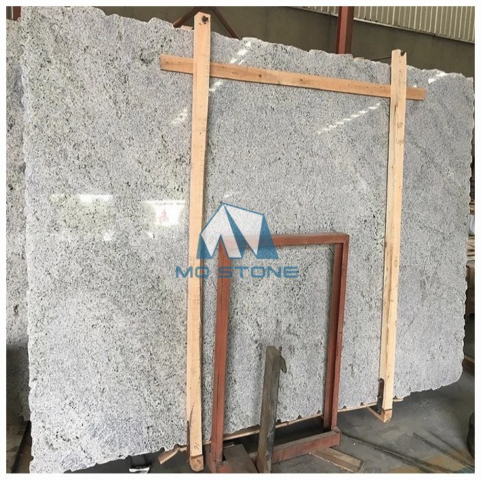 Polished Andromeda White Granite